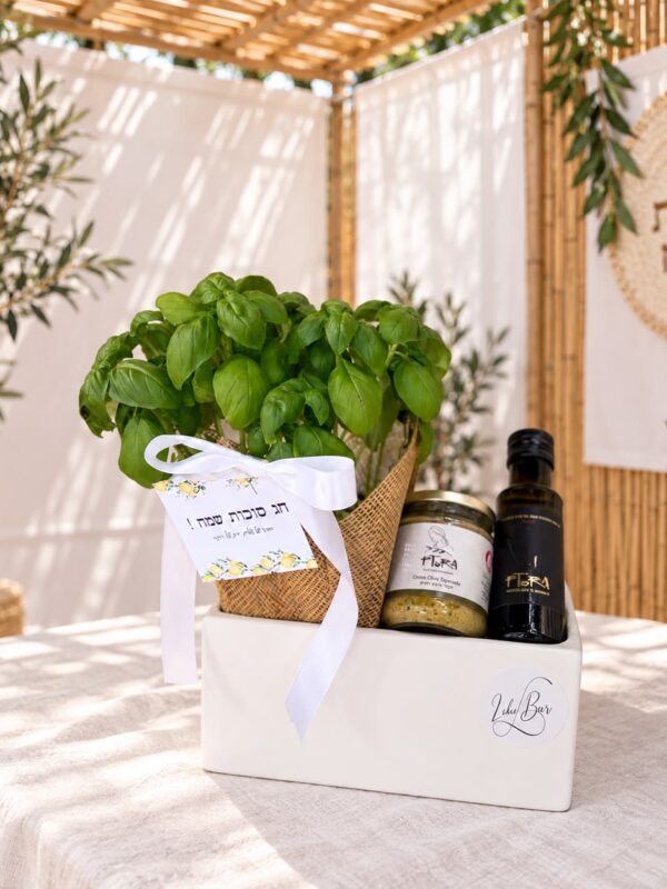 מארז קלאסי בכלי כרס
